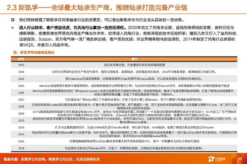 風(fēng)電軸承行業(yè)深度研究 市場潛力、海外對標(biāo)與業(yè)務(wù)延展性探索